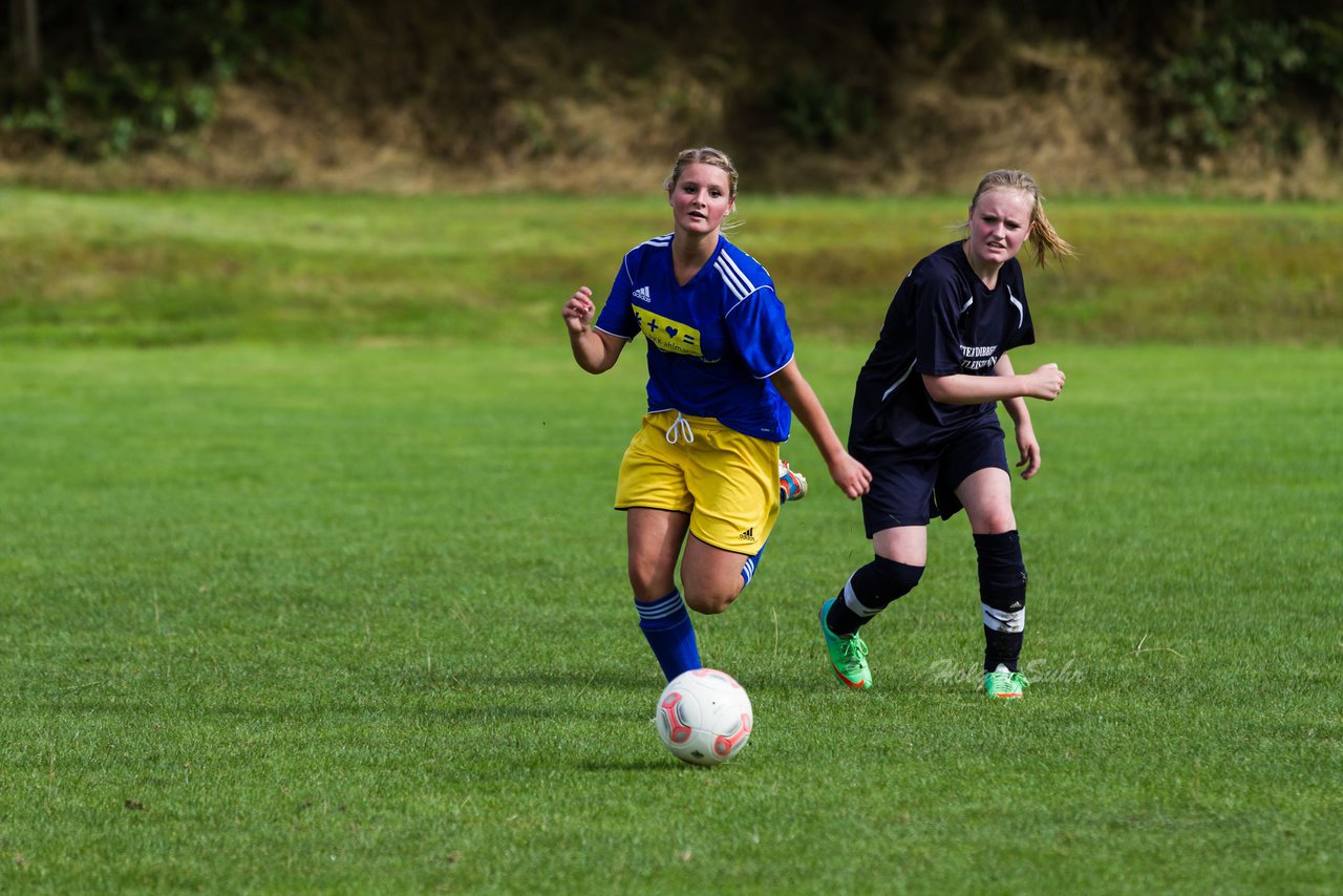 Bild 311 - Frauen TSV Gnutz - SG Slfeld/Oe/Se/Stu : Ergebnis: 2:3